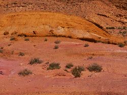 Coloured sands, big Makhtesh