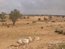 Halbwüste in der Nähe von Beer Sheva